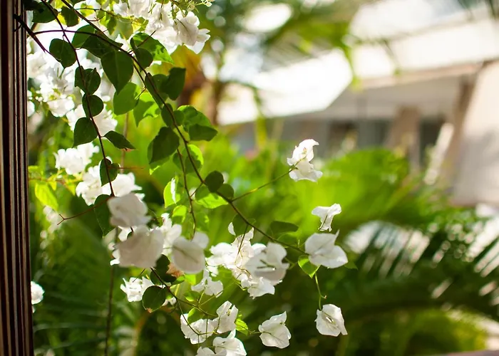 Billionaire Beachfront Apartments